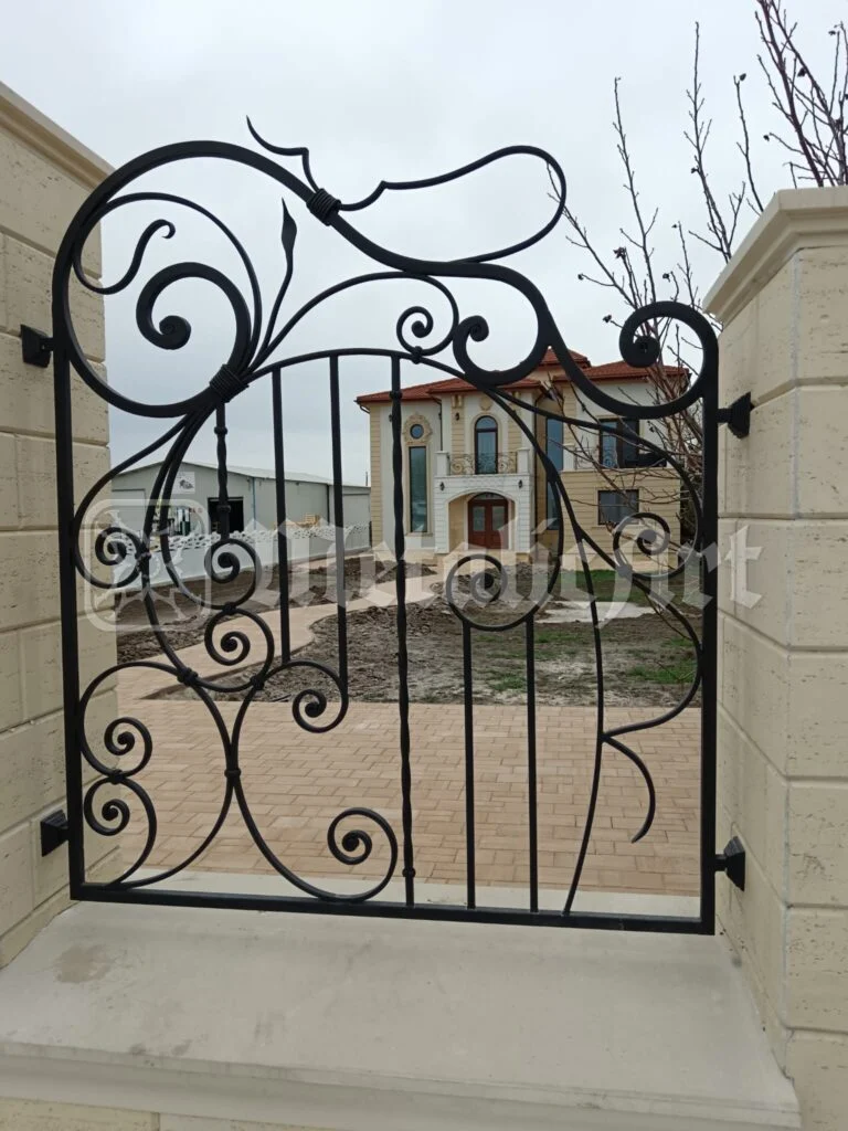 Portița pietonală văzută din curte.