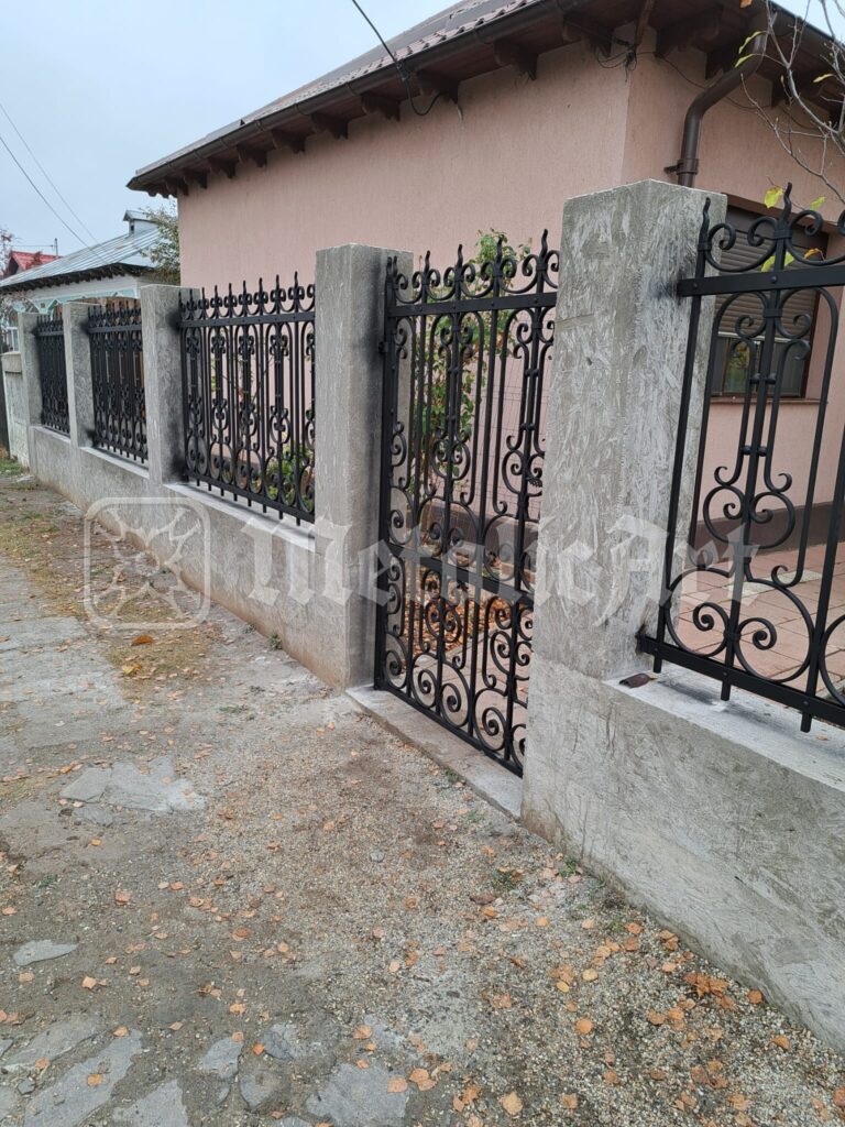 Gardul de-a lungul aleii, cu casa în stânga.