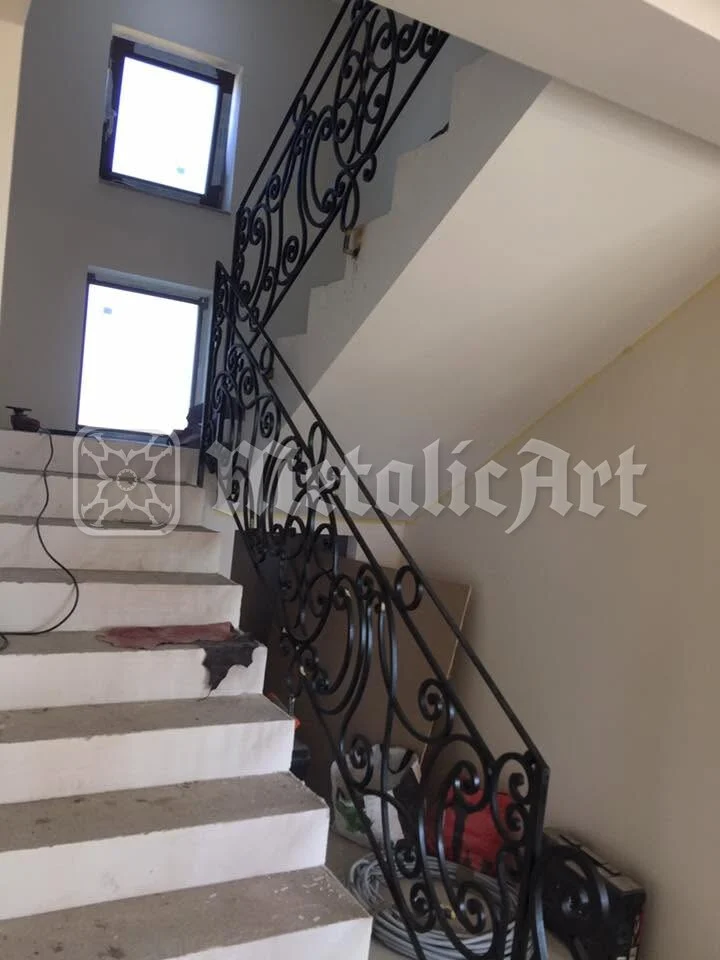 Rampa de jos, cu volutele ei, văzută din hol.
